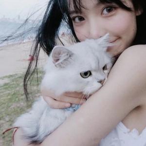 自由肯德尔0r1T头像