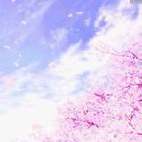 无痕9807头像