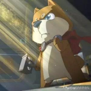 神经蛙337的个人资料头像