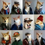 HaiChiang的个人资料头像