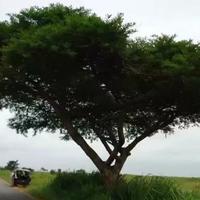 用户8900775447781头像