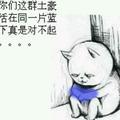 定格一瞬间971头像