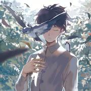 木欤的个人资料头像