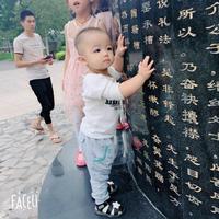 行走的斑马捂脸头像