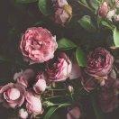 胡佳伟的个人资料头像