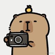 梦中的理想乡的个人资料头像