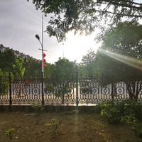 大胡子老先生头像