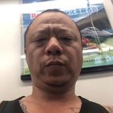 洒脱菠萝2q8头像