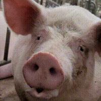 用户3325088799674头像