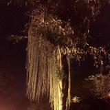 不一样的烟火！头像