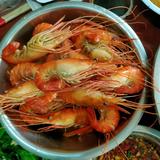 家明头像