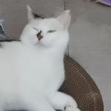 MoniquePoa头像