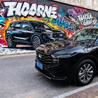 混动2豪热心群众001头像