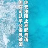 月亮宫小白兔头像