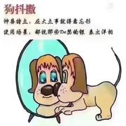 不想睡159的个人资料头像