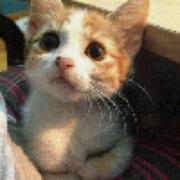 偉正的个人资料头像