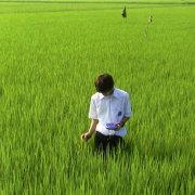 zhanjiashu的个人资料头像