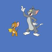 roc的个人资料头像