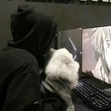 故WE头像