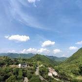 小白菜煮水头像