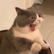 undefined的个人资料头像