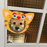 世界的参差的个人资料头像