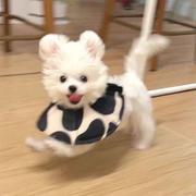 王曦可的个人资料头像