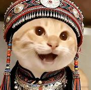 用户93372777006的个人资料头像