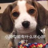 o o头像