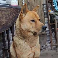 天上的風光头像