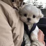 麻木了姐妹们头像