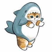 SharkCat的个人资料头像