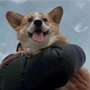 自娱的个人资料头像