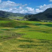 百年孤独8A5j头像