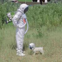 灰兔福先生头像