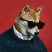 雍正专治八哥的个人资料头像