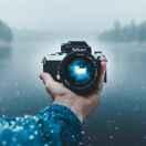 但偏偏风渐渐的个人资料头像