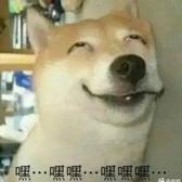 邻家的豆豆龙5头像
