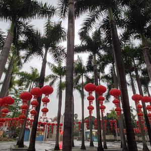 视野雨天6a6头像