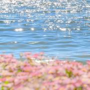 pretty_qz的个人资料头像