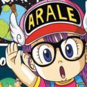 安芬妮的个人资料头像