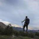 缘缘的个人资料头像