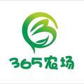 365农场糖豆小番茄头像