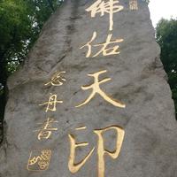 Sun大爷彡头像
