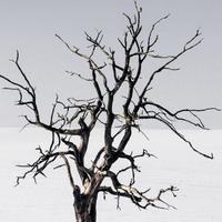 永杰同鑫11头像