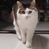 客都南头像