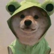 兔子先森559的个人资料头像