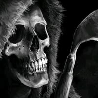 顽强露珠vpw头像