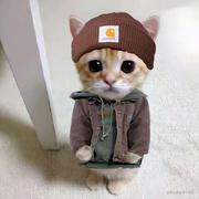 工大第一深情的个人资料头像