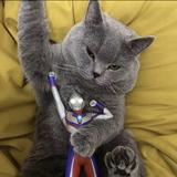 不积小流add头像